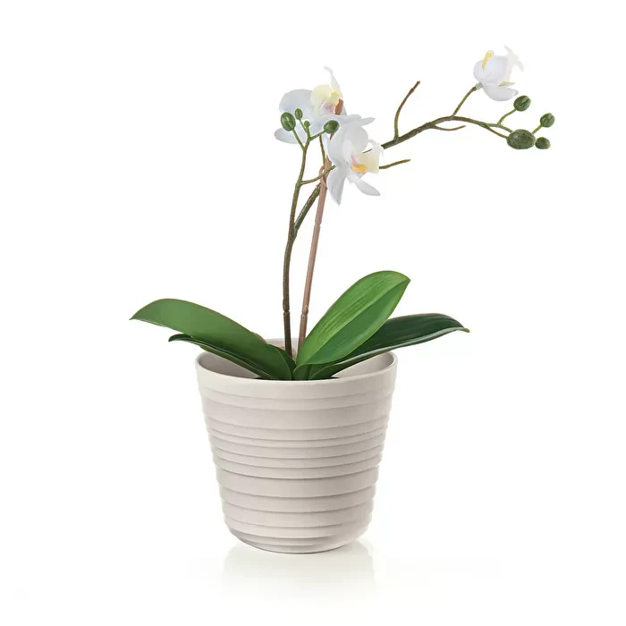 Guzzini Tierra single plant pot holder 12.8x12 cm milk white - Image 2