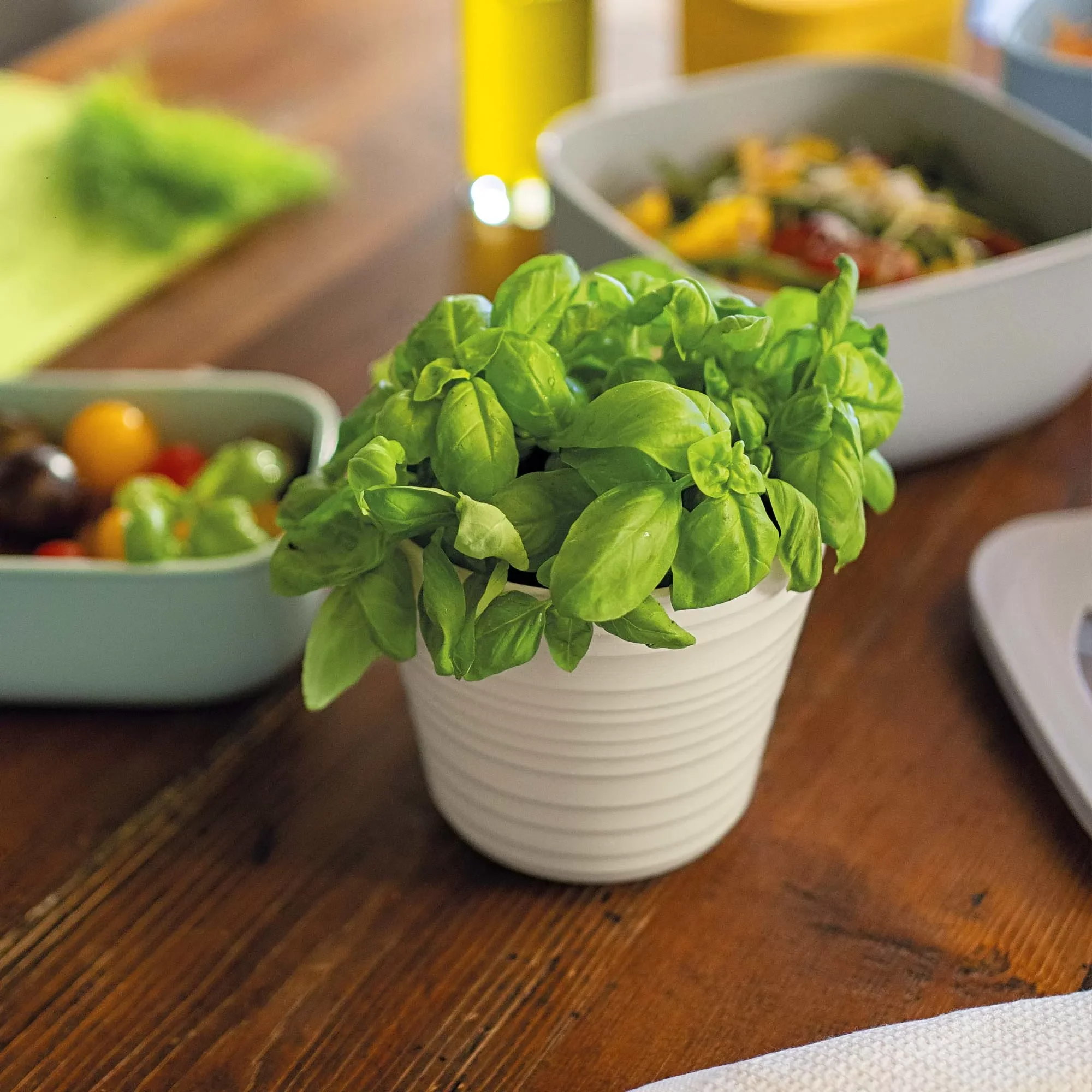 Guzzini Tierra single plant pot holder 12.8x12 cm taupe - Image 3
