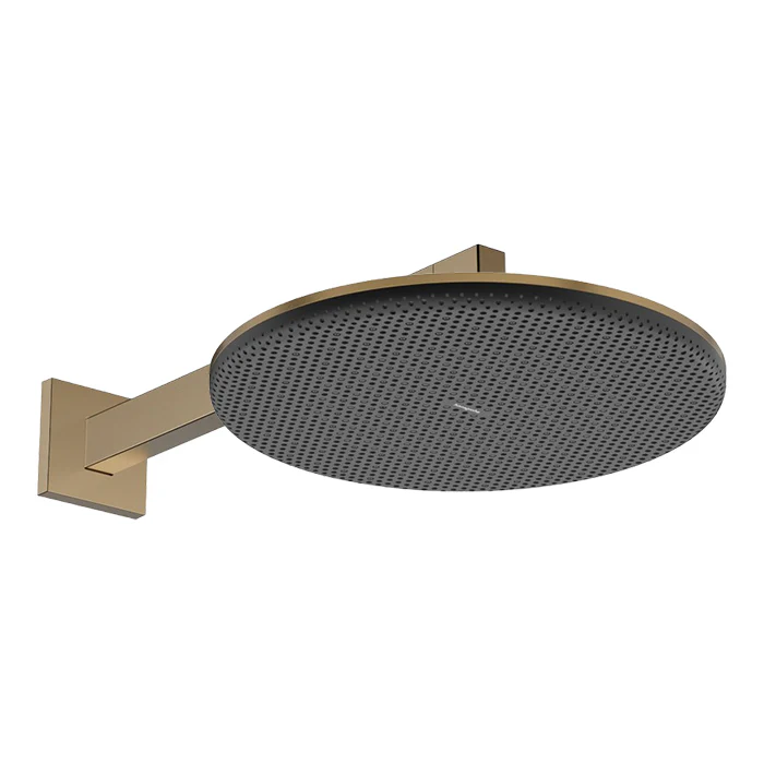 Hansgrohe Raindance AliveS overhead shower 300mm 24520.140 + 24337.140 arm
